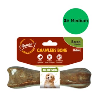 Gnawlers Bacon Bone Dog Dental Chew - Medium, 2 Packs