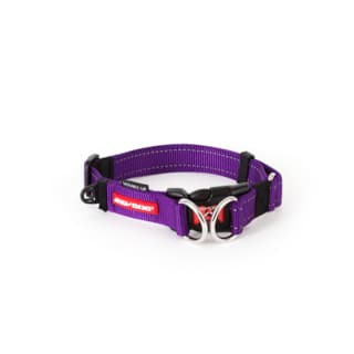 EzyDog Double Up Dog Collar - Large, Purple