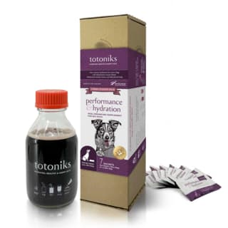 Totoniks Dog Performance & Hydration Starter Pack - Large Breed