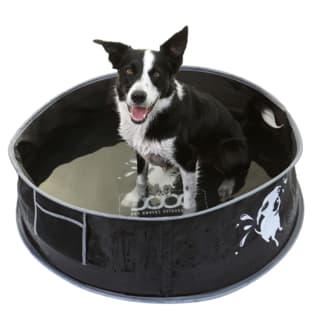 DOOG Pop-Up Dog Pool - Medium
