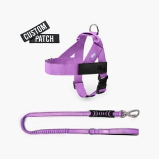 Dog Friendly Co. Dog Signature Kit - Medium, Purple