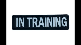 Ezydog Side Patch IN TRAINING - Large