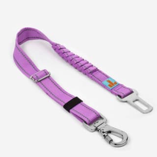 Dog Friendly Co. Dog Seat Belt - Purple