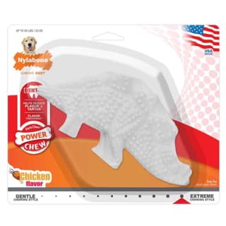 Nylabone DuraChew Dental Dinosaur Dog Chew Toy - Extra Large