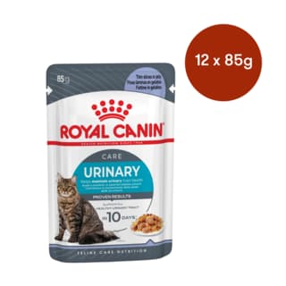 Royal Canin Urinary Care Jelly Adult Wet Cat Food - 85g x 12