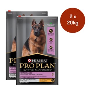 Pro Plan Adult Performance Chicken Dry Dog Food - 40kg (2x 20kg bags)