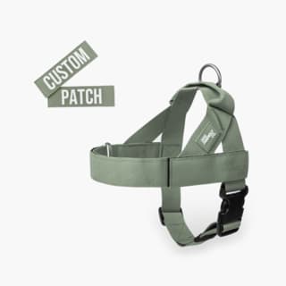 Dog Friendly Co. Premium Custom Dog Harness Combo - Small, Khaki