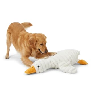 Waggin' Tails Smooshables Goose Dog Toy - Large
