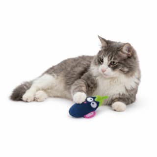 JOYSER ECO Eggplant Cat Toy - Dark Blue