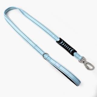 Dog Friendly Co. Original Classic Dog Leash - Regular, Sky Blue