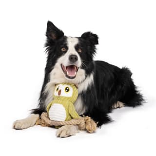 M-PETS Terra Thor Dog Plush Toy - Medium/Large