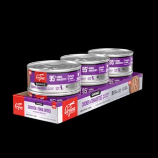 Orijen Kitten Chicken & Tuna Entrée Chunks in Bone Broth Wet Cat Food - 155g x 6 (pack)