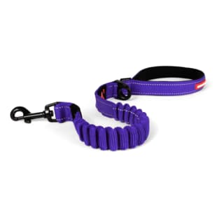 EzyDog Zero Shock Dog Lead - 60cm, Purple