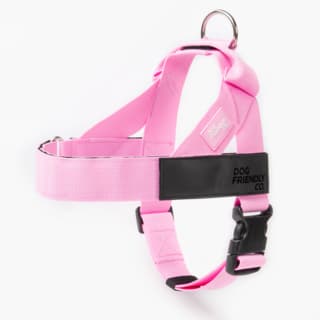 Dog Friendly Co. Dog Harness - Large, Pink