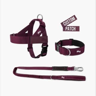 Dog Friendly Co. Premium Dog Lovers Pack - Large, Burgundy