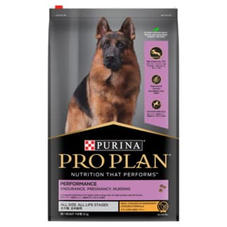 Pro Plan Adult Performance Chicken Dry Dog Food - 20kg