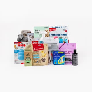 Petdirect Pawfect Beginnings Puppy Starter Kit - Small Breed