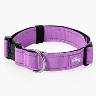 Dog Friendly Co. Tactical Dog Collar - Medium, Purple