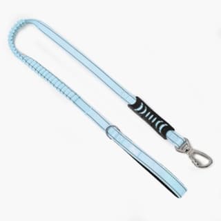 Dog Friendly Co. Original Bungee Dog Leash - Regular, Sky Blue