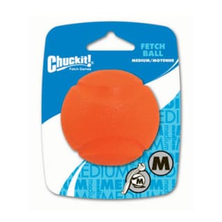 Chuckit! Fetch Ball Dog Toy - Medium