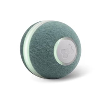 Cheerble M1 Mini Cat Ball - Green