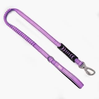 Dog Friendly Co. Original Bungee Dog Leash - Regular, Purple