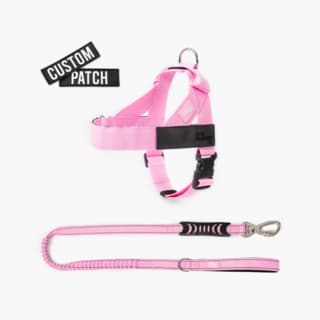 Dog Friendly Co. Dog Signature Kit - Extra Large, Pink