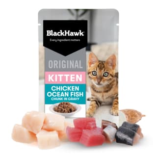 Black Hawk Original Kitten Chicken & Fish in Gravy Wet Cat Food - 85g x 48