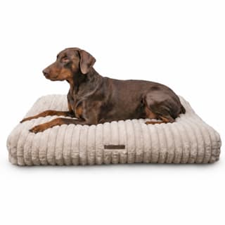 Coco & Cooper Ambient Snooze Dog Lounger - Large, Beige