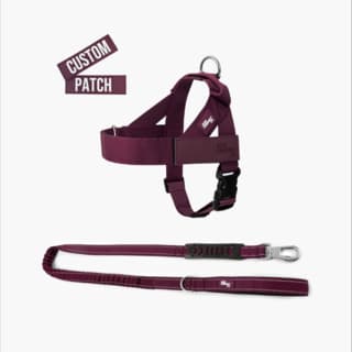 Dog Friendly Co. Premium Dog Signature Kit - Extra Small, Burgundy