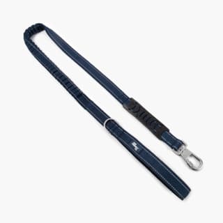 Dog Friendly Co. Premium Bungee Dog Leash - Small, Navy