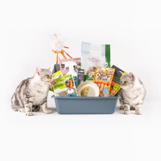 Petdirect Pawfect Beginnings Kitten Starter Kit - Kitten Pack