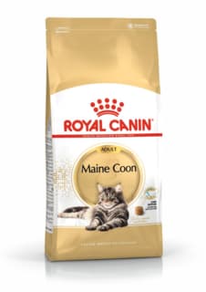 Royal Canin Maine Coon Adult Dry Cat Food - 10kg