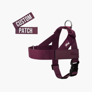 Dog Friendly Co. Premium Custom Dog Harness Combo - Large, Burgundy