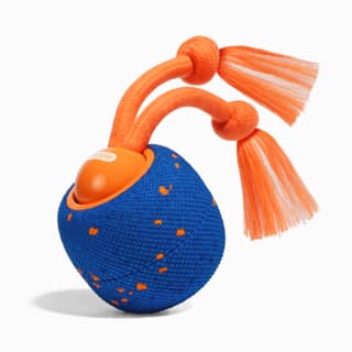Cheerble Wicked Ball Rolly Smart Dog Toy - Blue