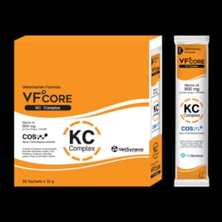 VetSynova VF+ Core KC Kidney Care Complex Cat Supplement - 12g x 30