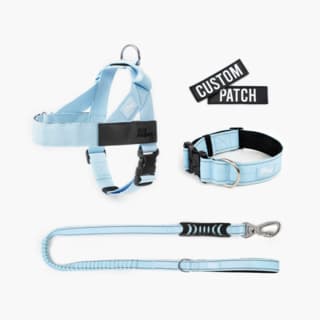 Dog Friendly Co. Dog Lovers Pack - Extra Large, Sky Blue