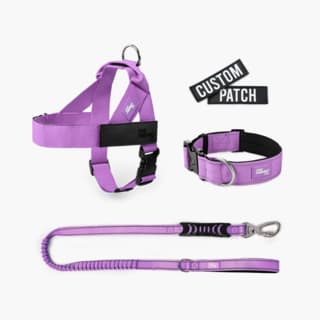 Dog Friendly Co. Dog Lovers Pack - Small, Purple