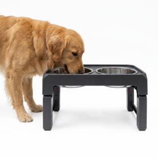 Pup & Purr Elevated Adjustable Double Pet Bowl - Grey