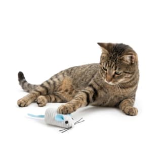 M-PETS Wonders Finn the Mouse Cat Toy - Single Assorted Colour