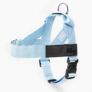 Dog Friendly Co. Dog Harness - Small, Sky Blue