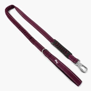 Dog Friendly Co. Premium Bungee Dog Leash - Regular, Burgundy