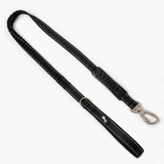 Dog Friendly Co. Original Bungee Dog Leash - Small, Black
