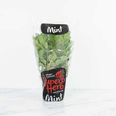 Superb Herb Vietnamese Mint Small