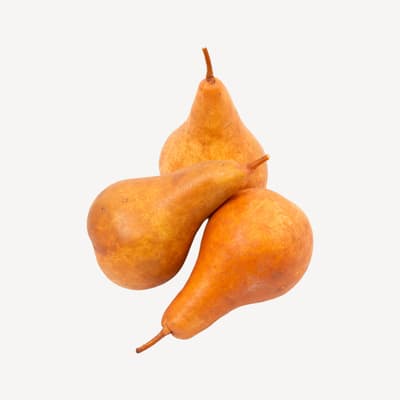 Bosc Pears