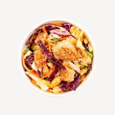 Chicken Schnitzel & Peanut Slaw MEDIUM
