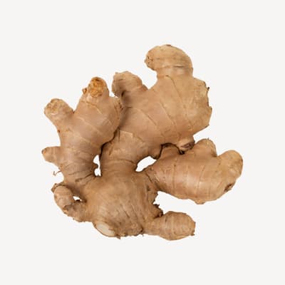 Ginger