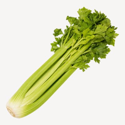 Celery Whole
