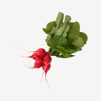 Radish Bunch