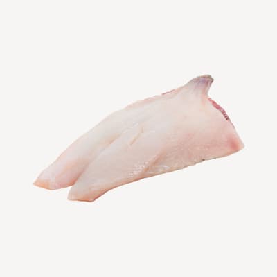 John Dory Fillets Skin On